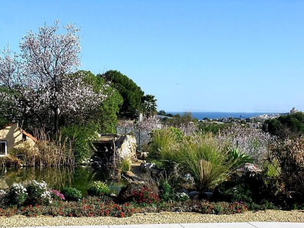 Finca rústica en Partida Barranquet