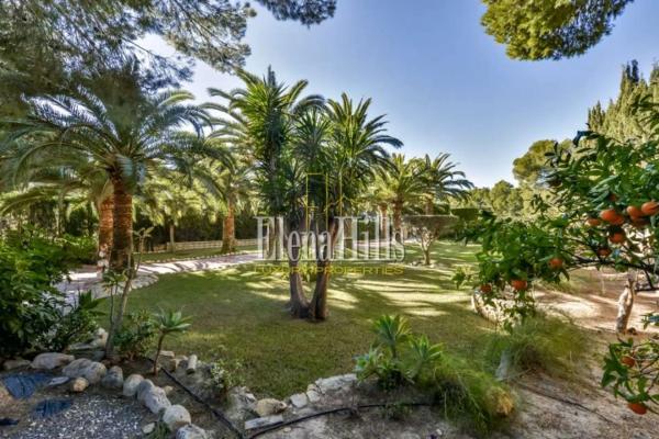 Casa independiente en calle Perdiu