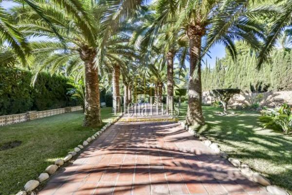 Casa independiente en calle Perdiu