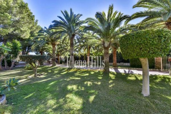 Casa independiente en calle Perdiu