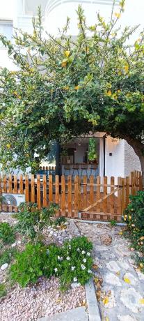 Estudio en calle noruega, 12