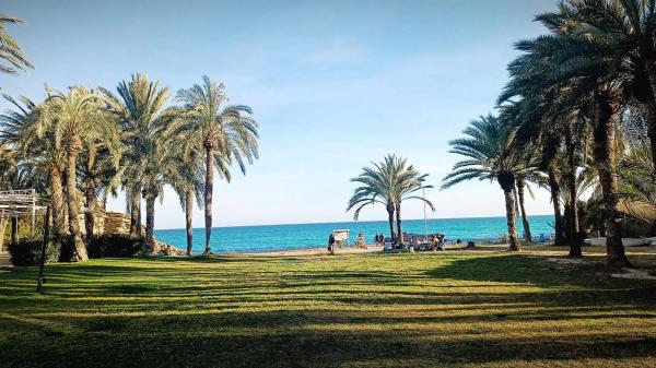 Estudio en calle noruega, 12