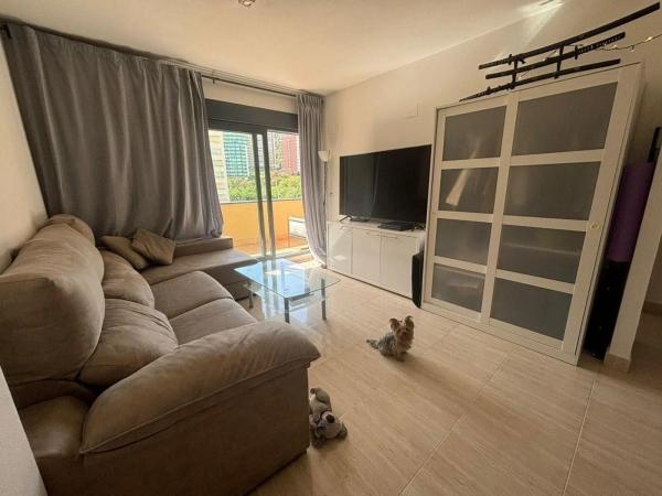 Piso en avenida Mestral