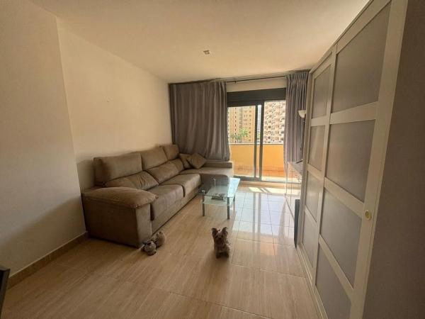 Piso en avenida Mestral