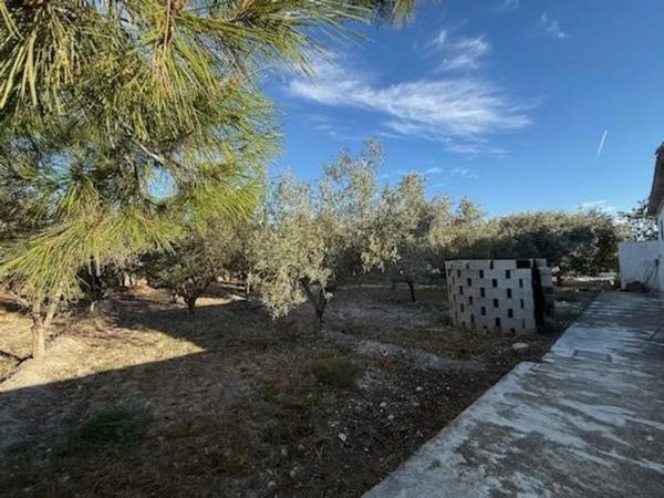 Casa independiente en Secanet