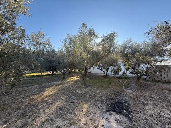 Casa independiente en Secanet