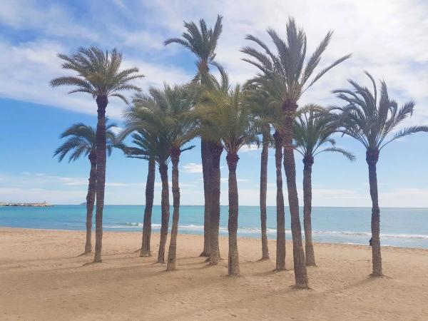 Dúplex en Platja Vila Joiosa