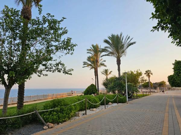 Piso en avenida Tellerola, 2