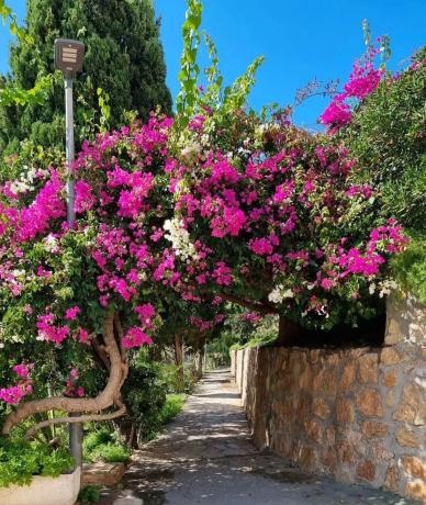 Piso en Poble Nou - Montiboli