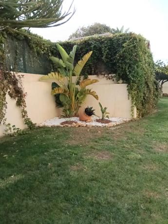 Piso en calle Beniardá, 4