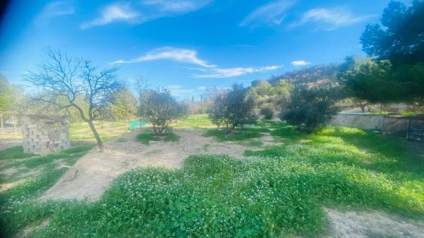 Finca rústica en Partida la Robella