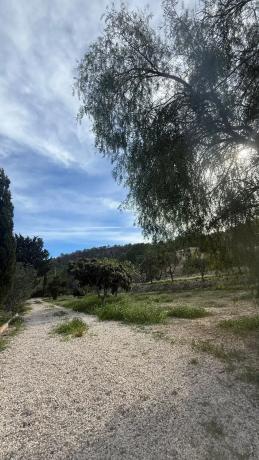 Finca rústica en Partida la Robella