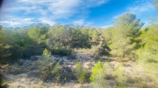 Finca rústica en Partida la Robella