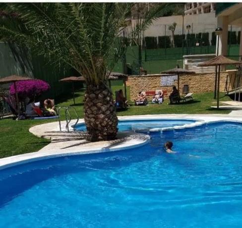 Piso en avenida Mestral