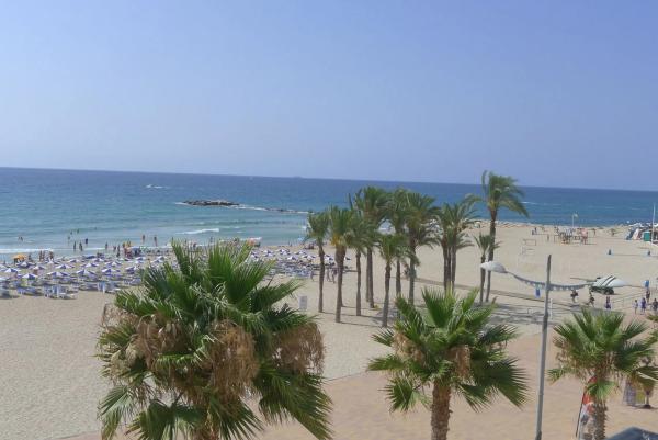 Ático en avenida del País Valencià, 24