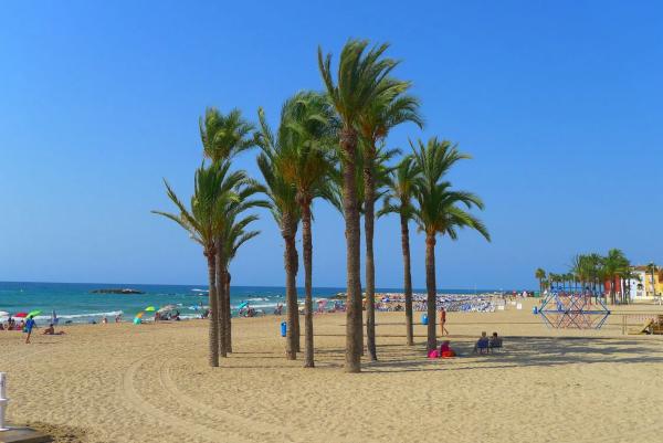 Ático en avenida del País Valencià, 24