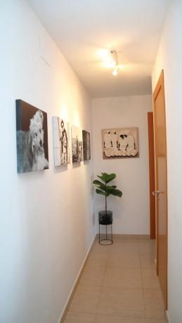 Ático en avenida del País Valencià, 24