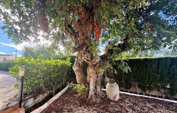 Chalet en Benimeit-Tabaira