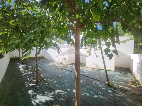 Chalet adosado en calle Milano, 24