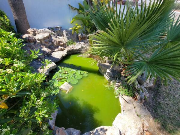 Chalet en Moravit-Cap Blanc