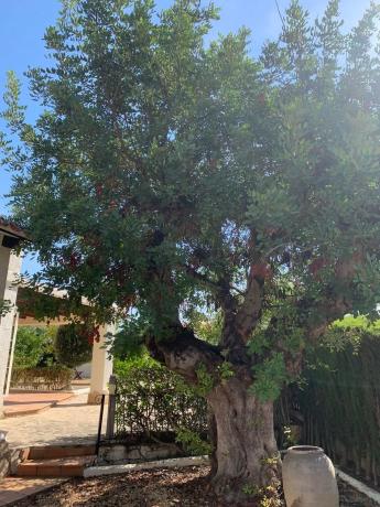 Casa independiente en calle Córdoba, 13 CalleCrdoba