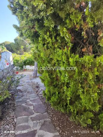 Casa independiente en camino del Paellero