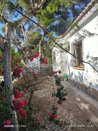 Casa independiente en camino del Paellero