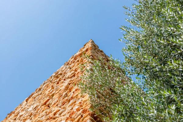 Casa independiente en calle Colibrí, 22