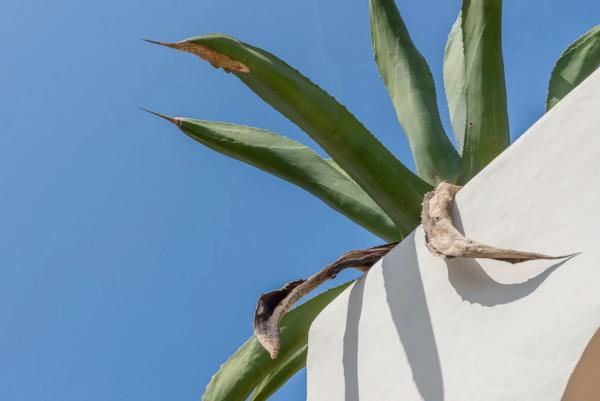 Casa independiente en calle Colibrí, 22