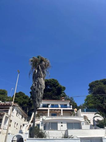 Piso en Pinar de Advocat-Cometa