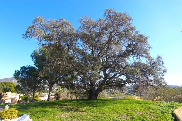 Chalet en Benimeit-Tabaira