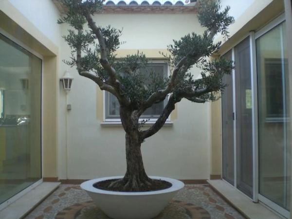 Casa independiente en calle Garza s/n