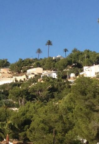 Casa independiente en calle Garza s/n