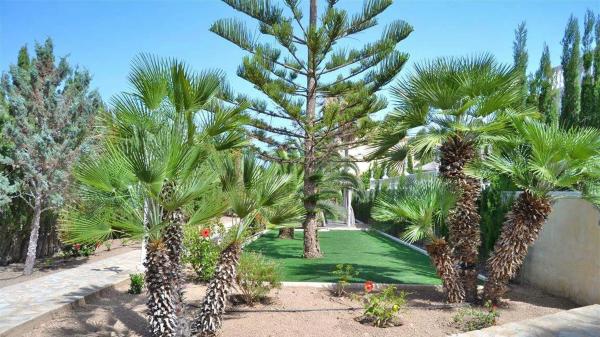 Casa independiente en Partida Maryvilla