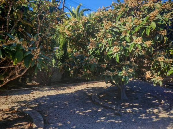 Chalet en Gargasindi