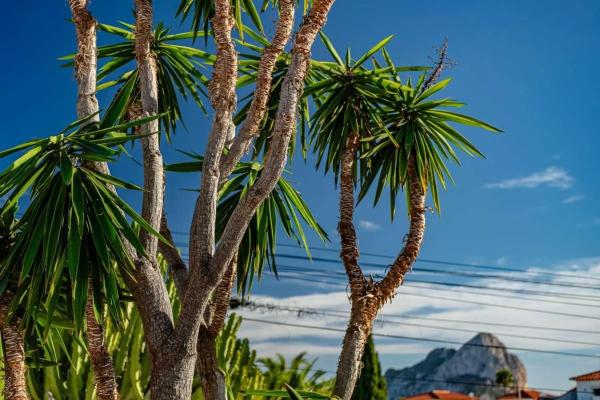 Chalet en Cometa-Carrió