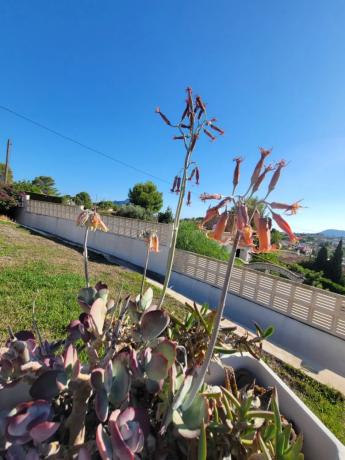 Casa independiente en Urbanización Gran Sol