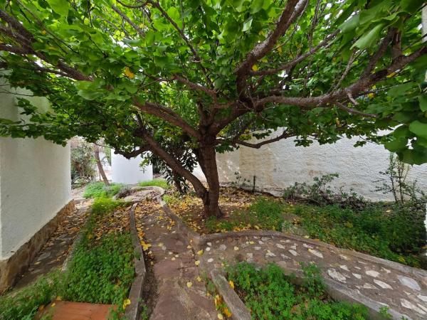 Casa independiente en Pd Ricarlos