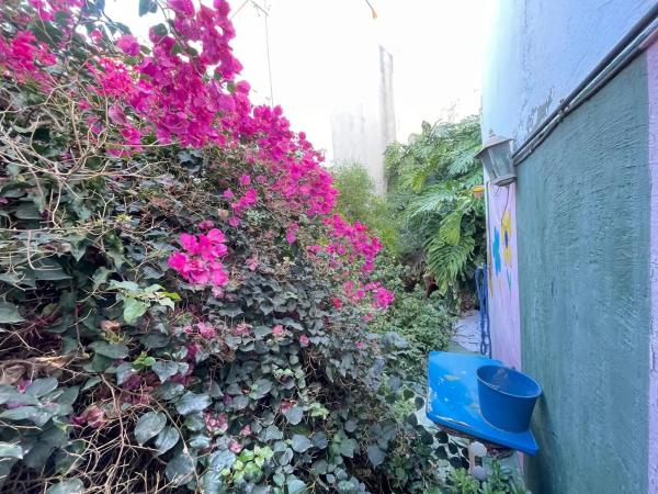 Casa independiente en calle de fora, 5