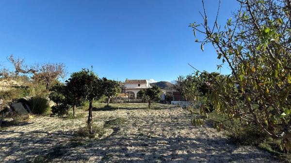 Casa independiente en Partida Terrasala