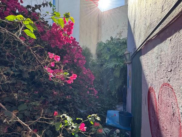 Chalet adosado en calle de Fora s/n