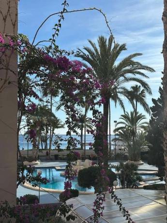 Piso en avenida Juan Carlos I