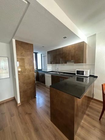 Piso en avenida Juan Carlos I