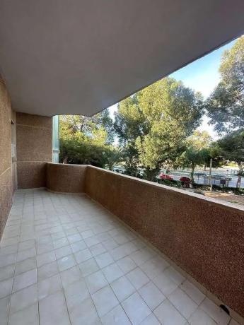 Piso en avenida Juan Carlos I