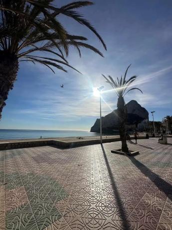 Piso en avenida Juan Carlos I