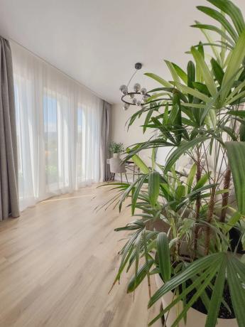 Casa independiente en Partida Los Pinos s/n