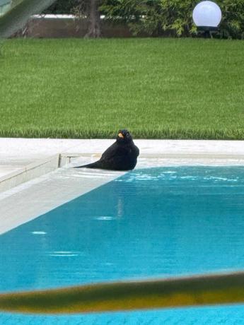 Casa independiente en partida pla roig