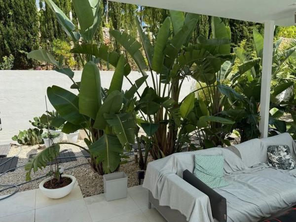 Casa independiente en partida pla roig