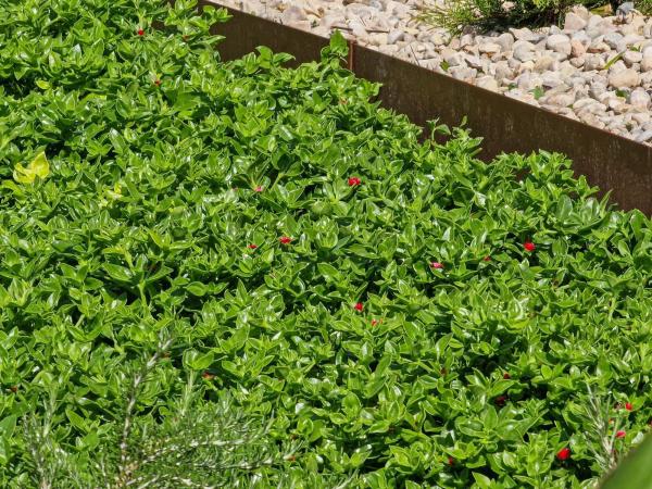 Casa independiente en calle Urb Gran Sol, 5