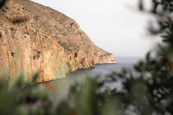 Dúplex en Maryvilla